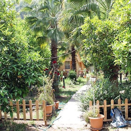 Oran Pansiyon Agac Evler Hotel Çıralı Kültér fotó