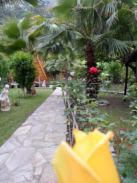 Oran Pansiyon Agac Evler Hotel Çıralı Kültér fotó