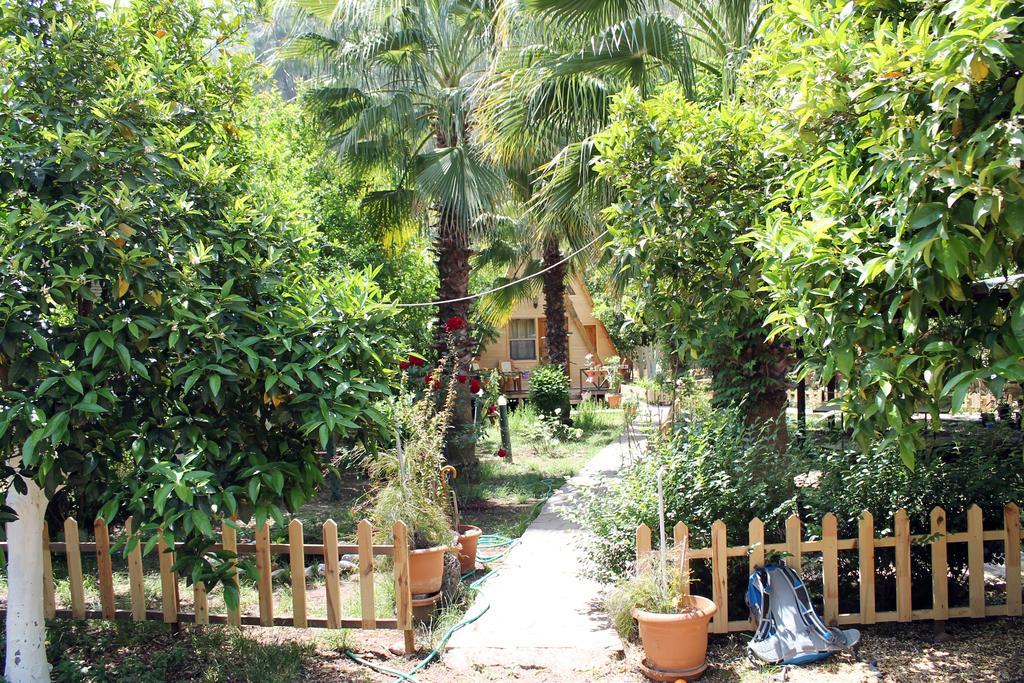 Oran Pansiyon Agac Evler Hotel Çıralı Kültér fotó